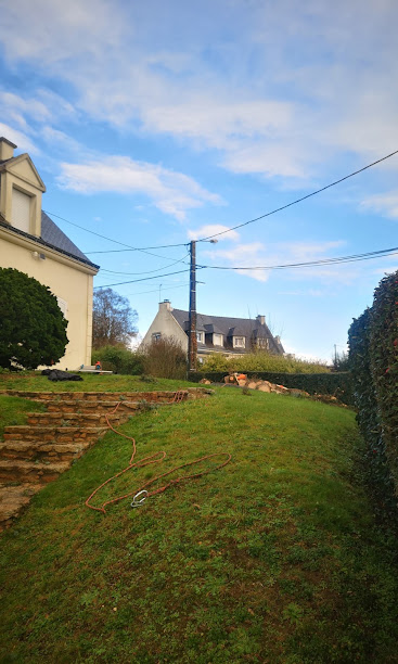 Après : le jardin dégagé, sans le conifère