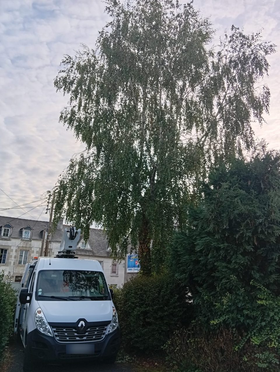 Avant : le grand bouleau, avec le camion-nacelle en place