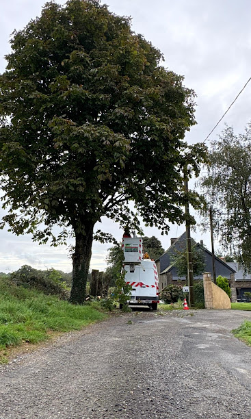 Intervention en nacelle – chantier de MJ Élagage Abattage dans le Morbihan