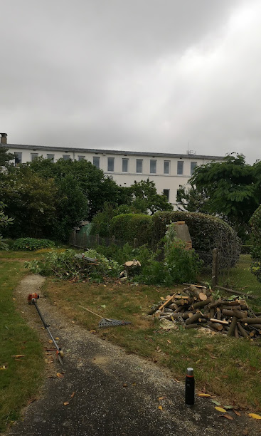 Abattage et débitage du bois – chantier de MJ Élagage Abattage dans le Morbihan